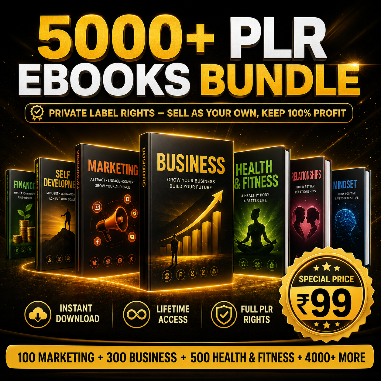 5000+ PLR E-Books Bundle By Digi Improvement