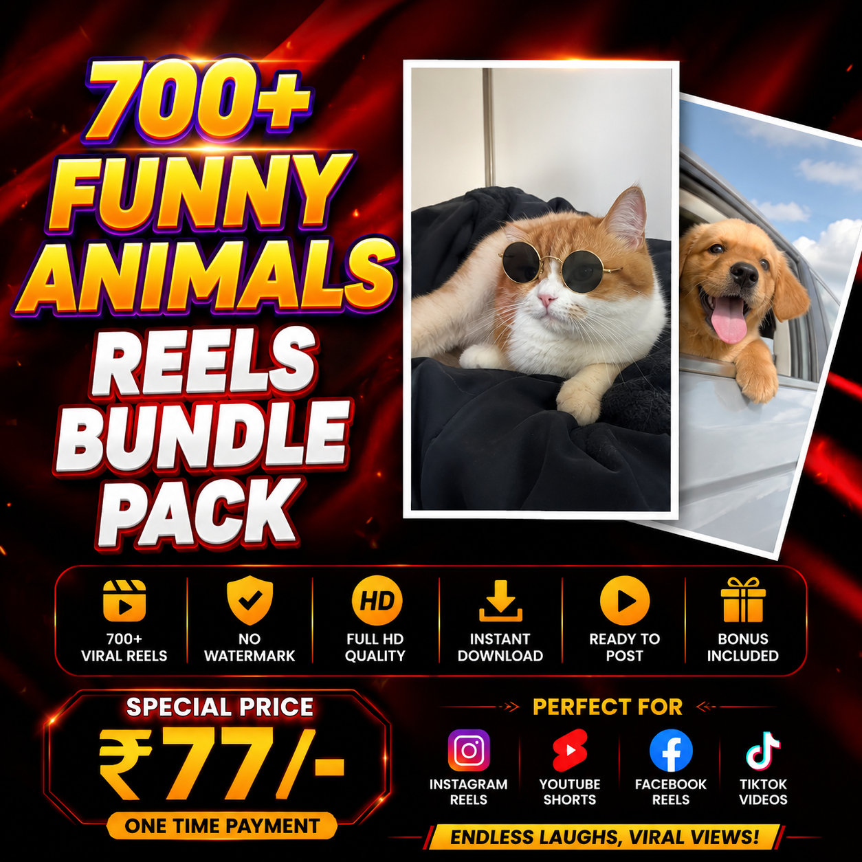 700+ Funny Animals Reels Bundle