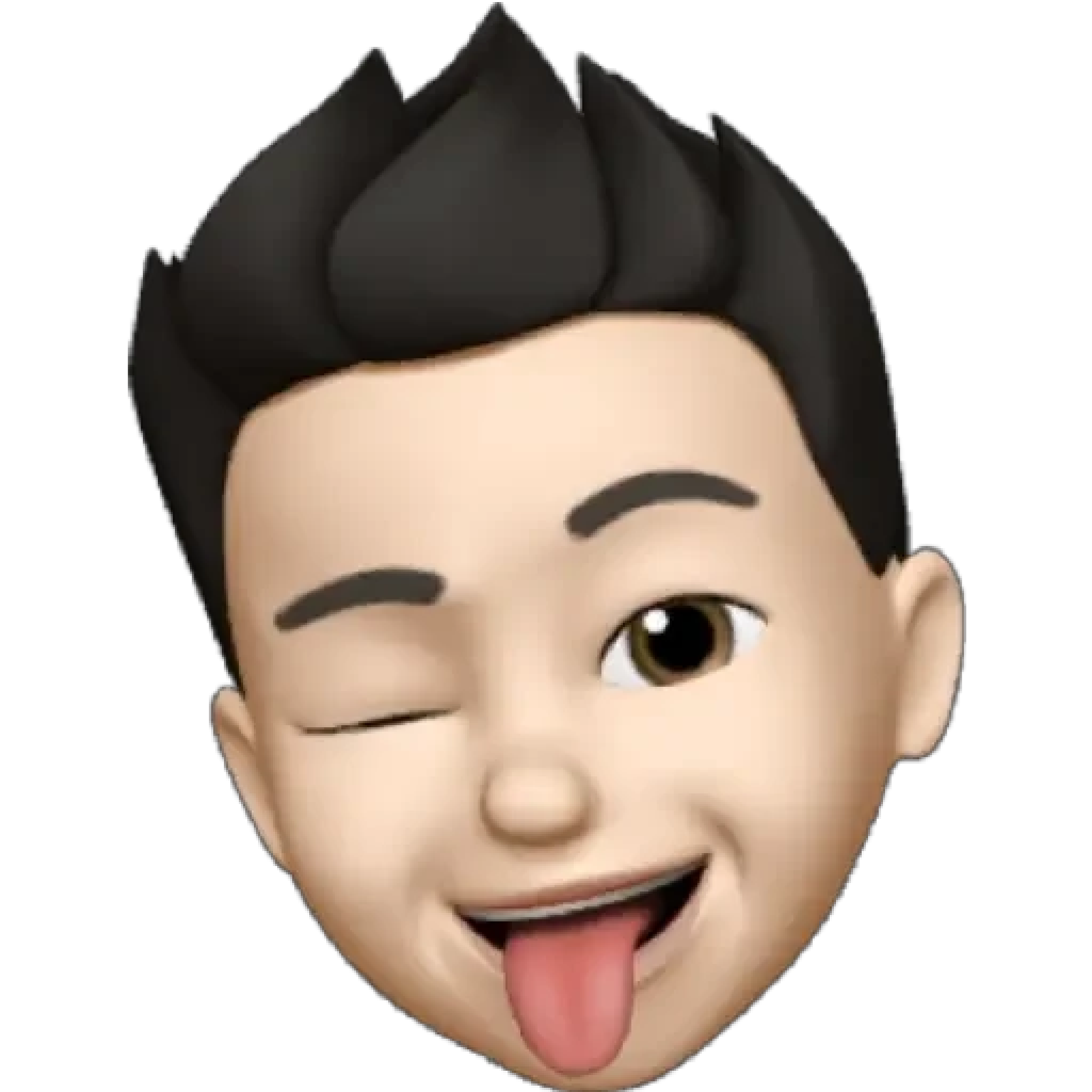 235 Apple Emoji (PNG) Bundle By Digi Improvemnt (160)