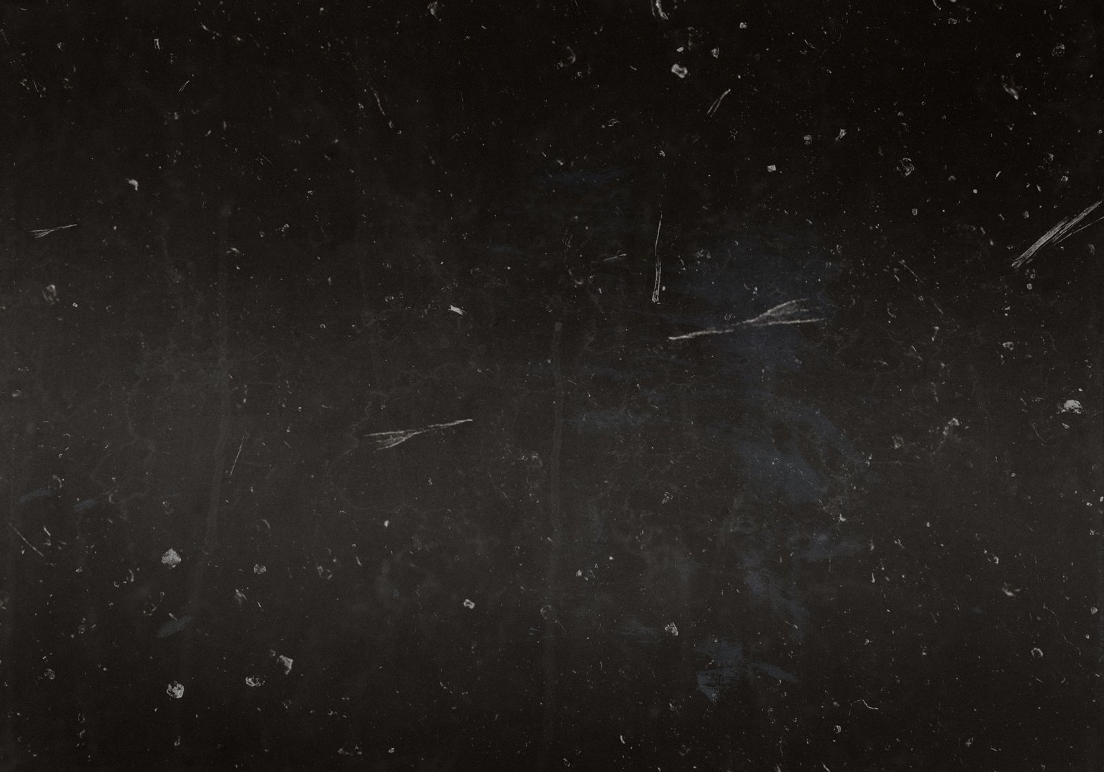 8 (3)