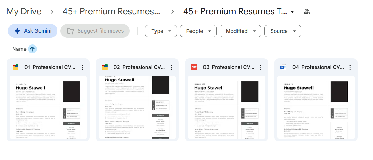 45+ Premium Resumes Template Bundle — photo 3