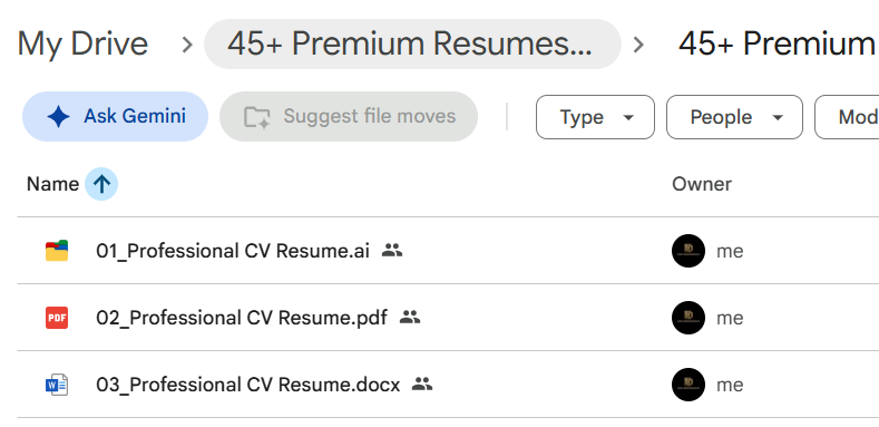 45+ Premium Resumes Template Bundle — photo 4