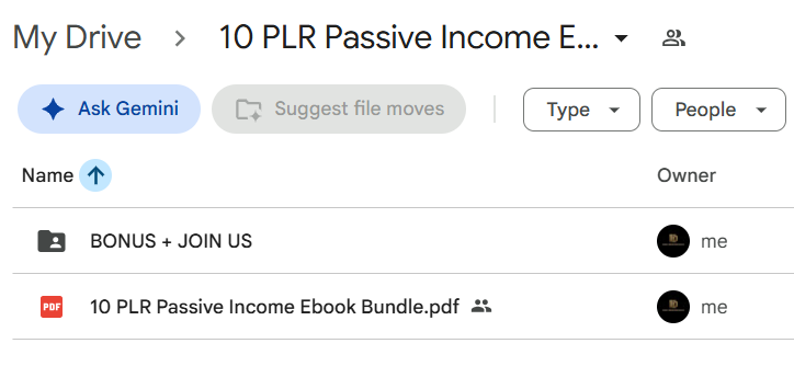 10 PLR Passive Income Ebook Bundle — photo 3