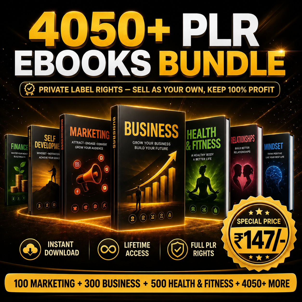 4050+ PLR E-Books Bundle By Digi Improvement
