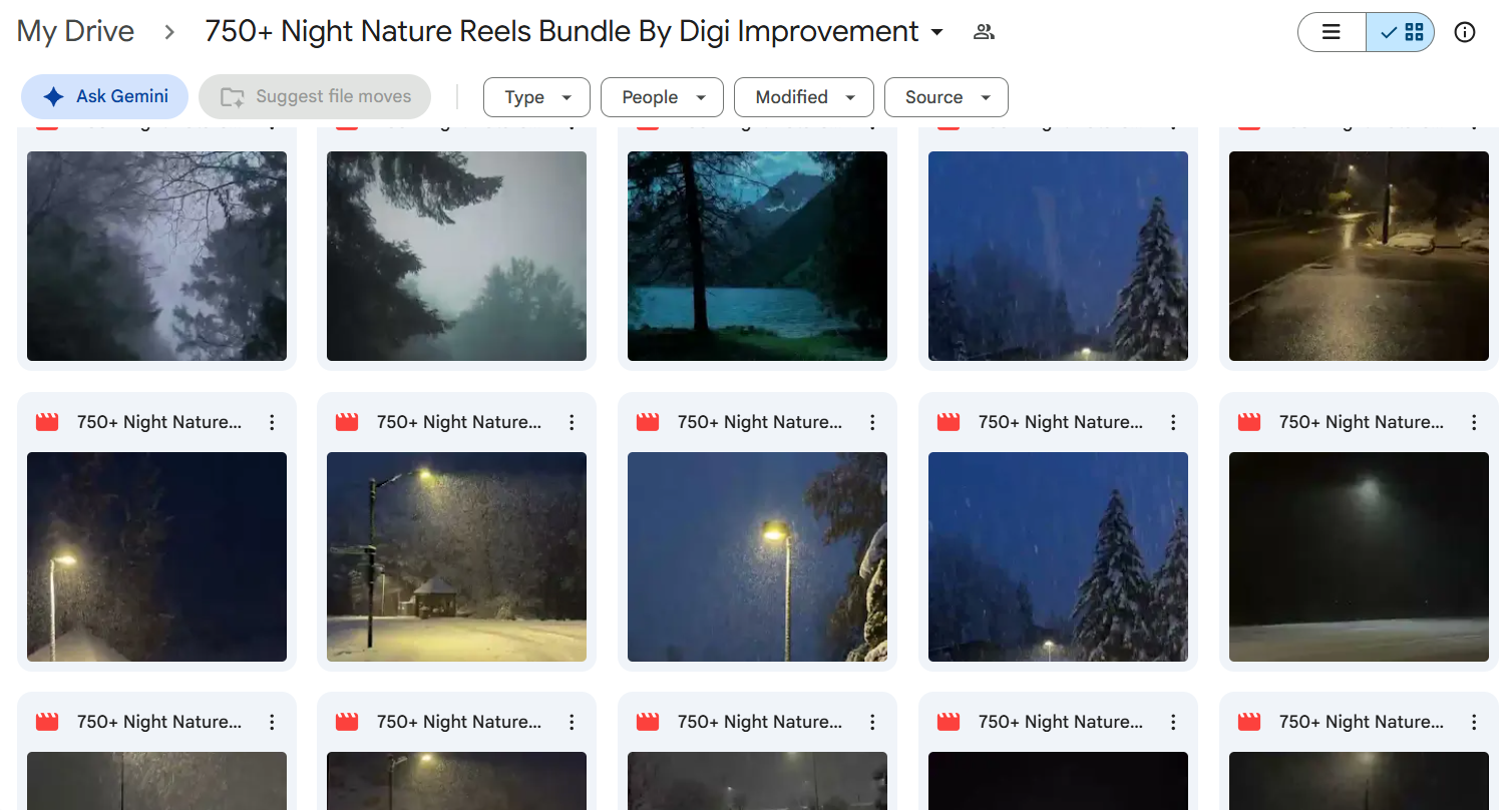 750+ Night Nature Reels Bundle — photo 3